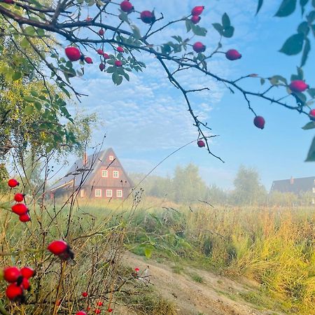Chata Waliszow Nowy Waliszow Extérieur photo