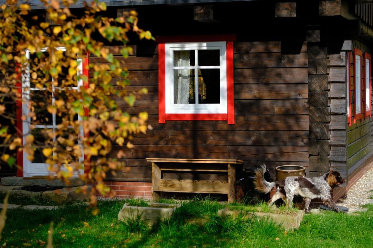 Chata Waliszow Nowy Waliszow Extérieur photo