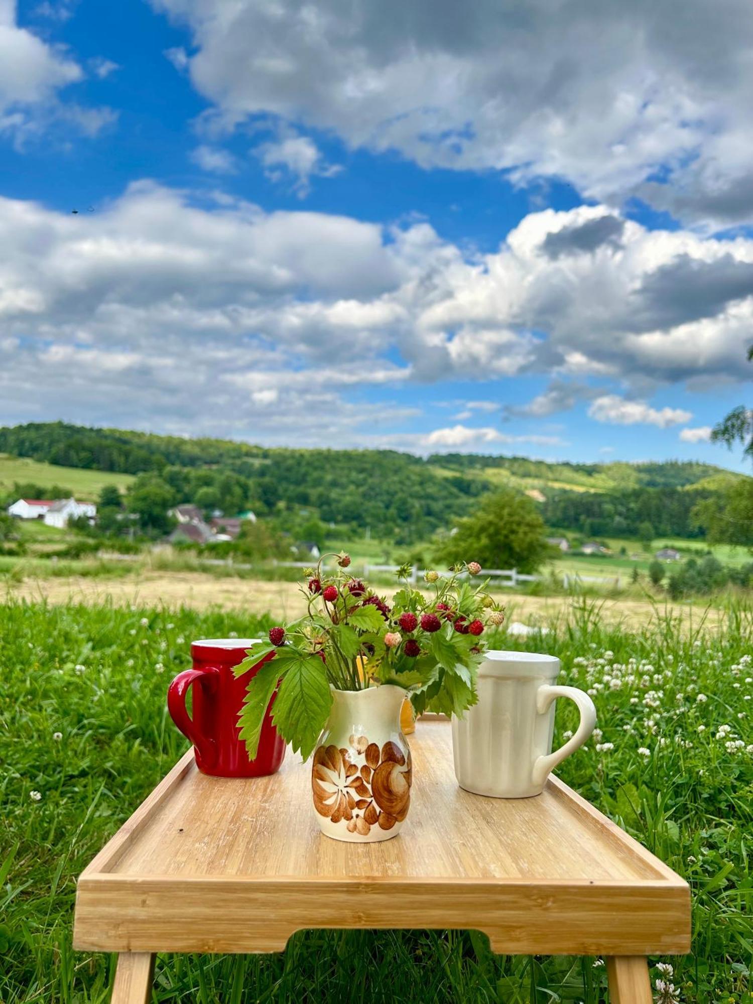 Chata Waliszow Nowy Waliszow Extérieur photo