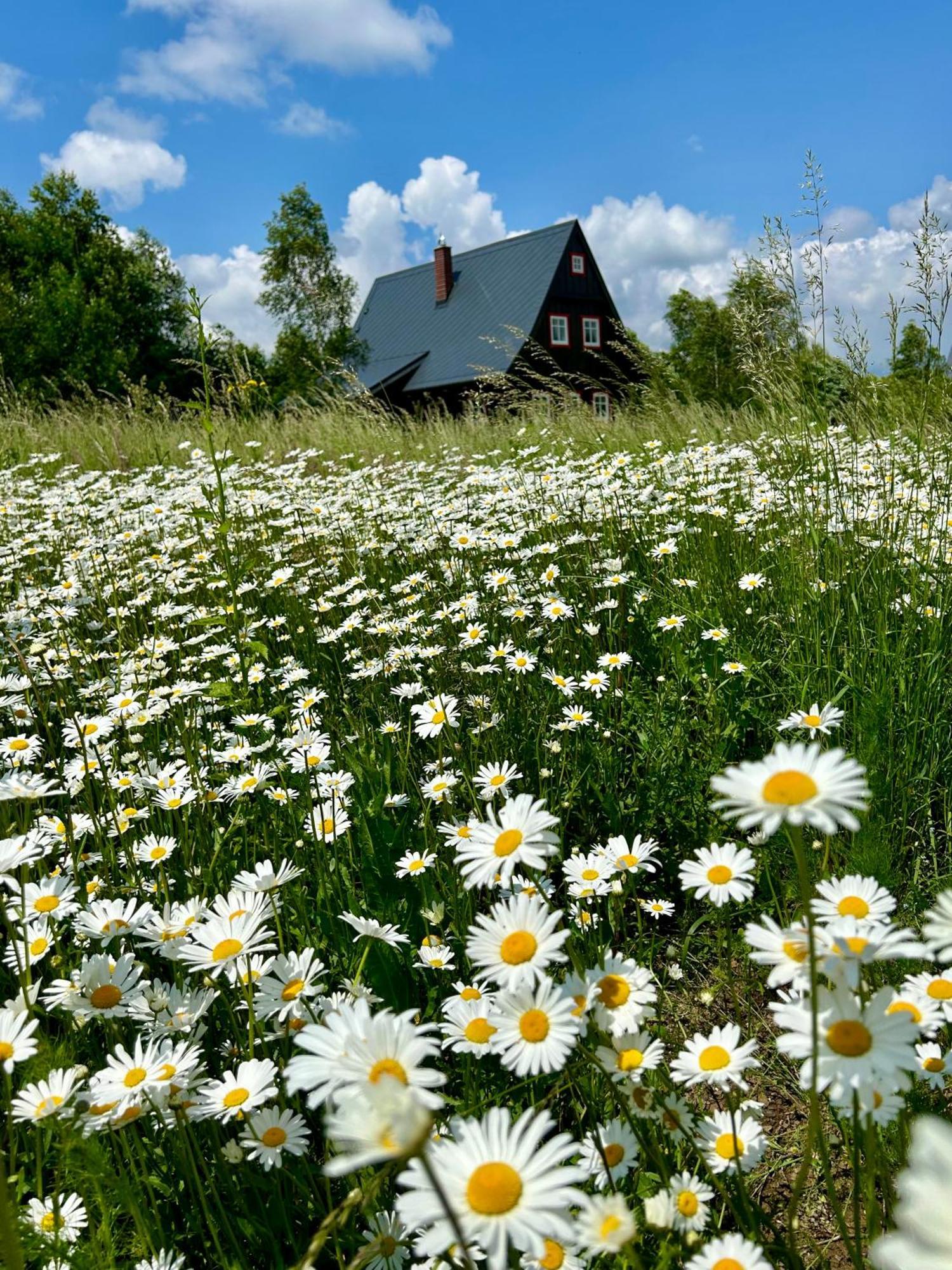 Chata Waliszow Nowy Waliszow Extérieur photo