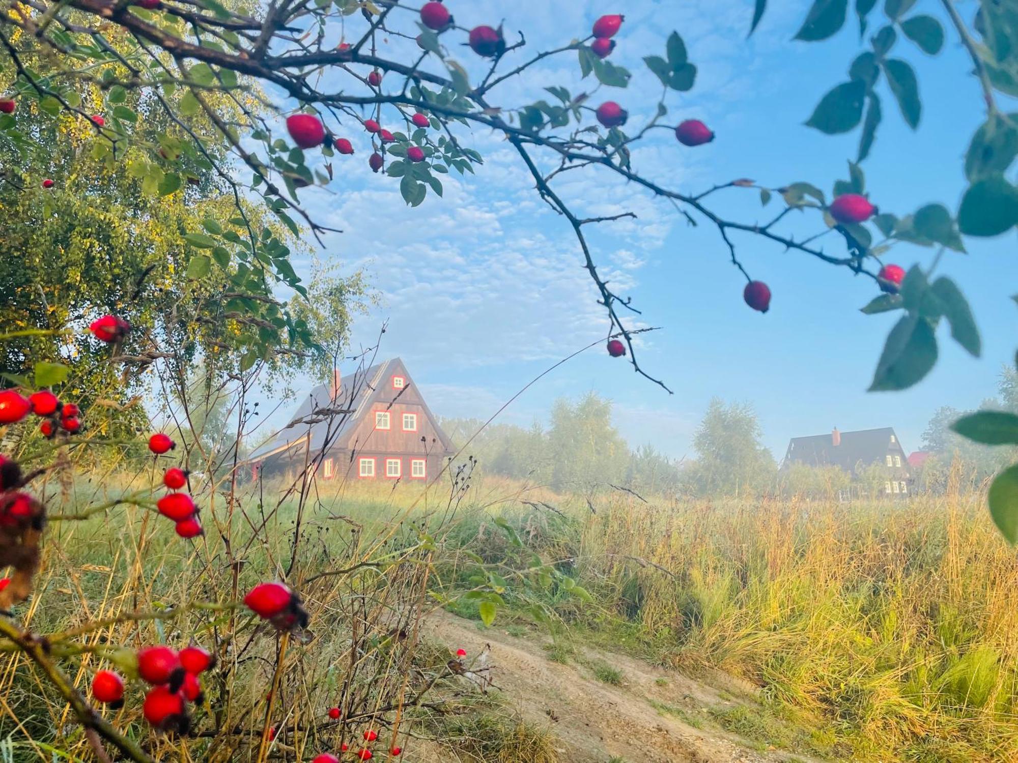 Chata Waliszow Nowy Waliszow Extérieur photo